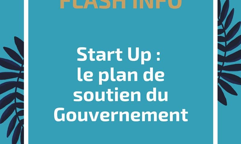 Start Up : le plan de soutien du Gouvernement