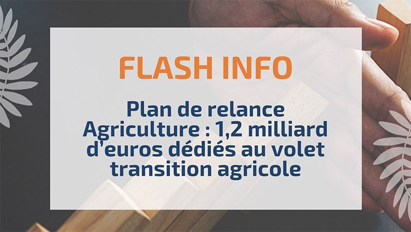 Plan de relance Agriculture : 1,2 milliard d’euros dédiés au volet transition agricole