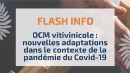 OCM vitivinicole : nouvelles adaptations dans le contexte de la pandémie du Covid-19