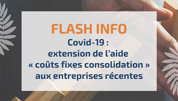 Covid-19 - extension de l'aide coûts fixes consolidation aux entreprises récentes