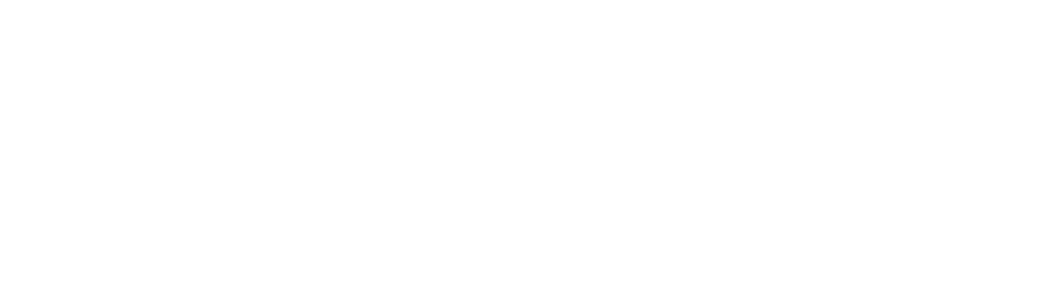 Logo Waibi