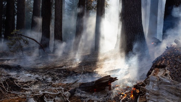 Mesures des URSAFF pour soutenir les employeurs confrontes aux incendies