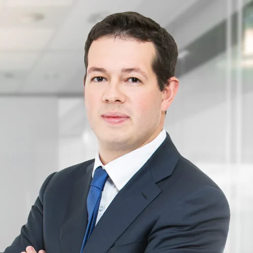 Laurent LEPAJOLEC