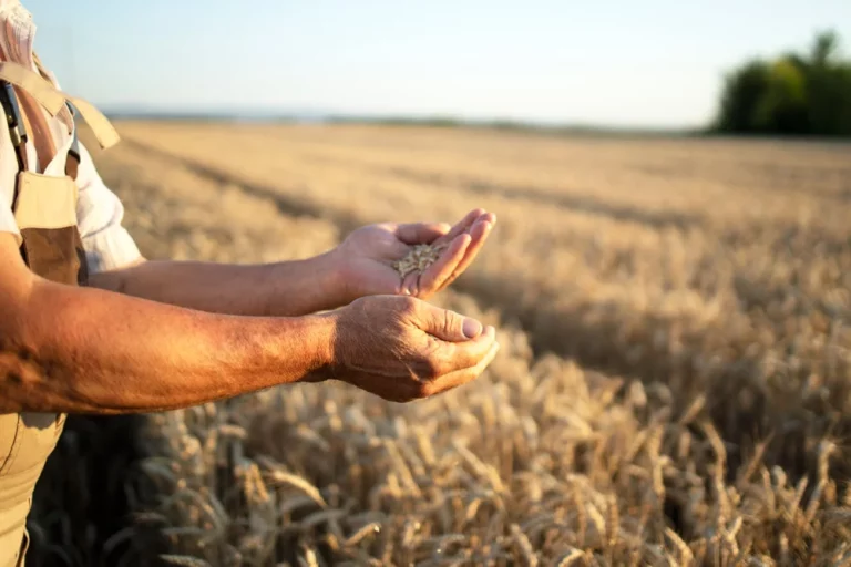 Exco FSO accompagne la transition des agriculteurs d’Occitanie face aux changements climatiques grâce au soutien de l’ADEME
